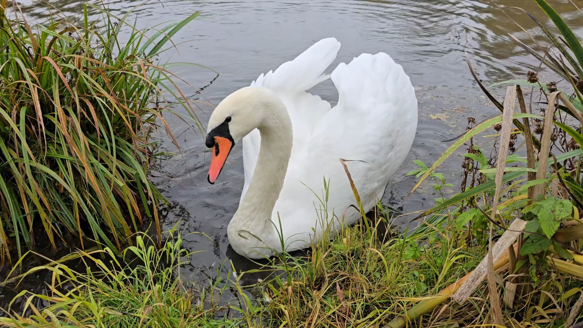 Коломна, Озеры,туризм, усадьба сенницы,