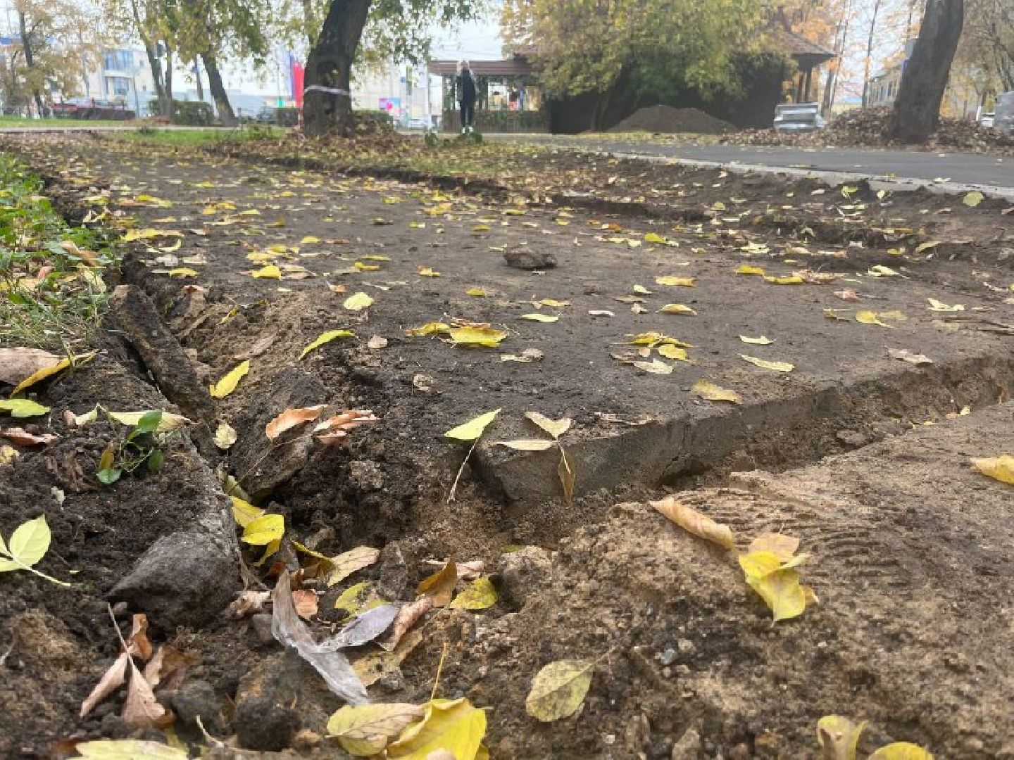 красногорск, дорожка, тропинка,  благоустройство,