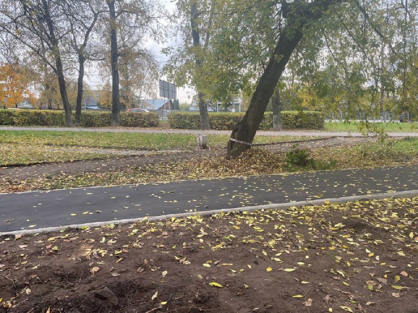 красногорск, дорожка, тропинка,  благоустройство,