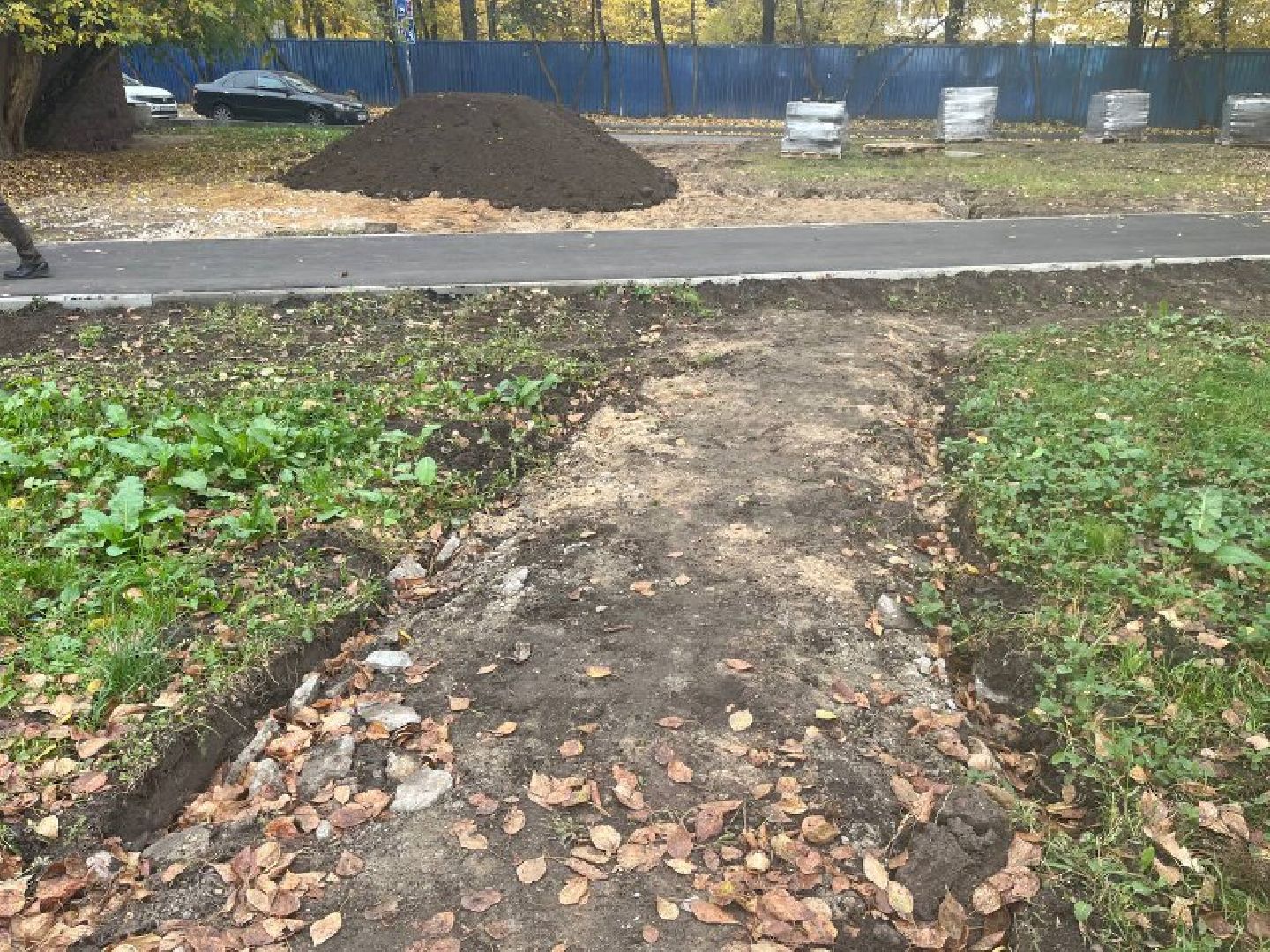 красногорск, дорожка, тропинка,  благоустройство,