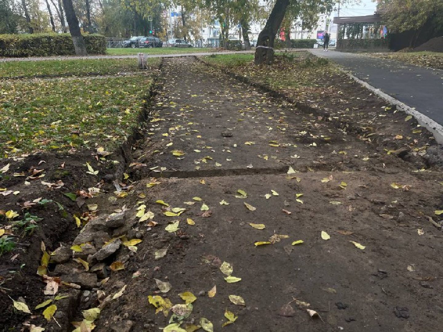 красногорск, дорожка, тропинка,  благоустройство,