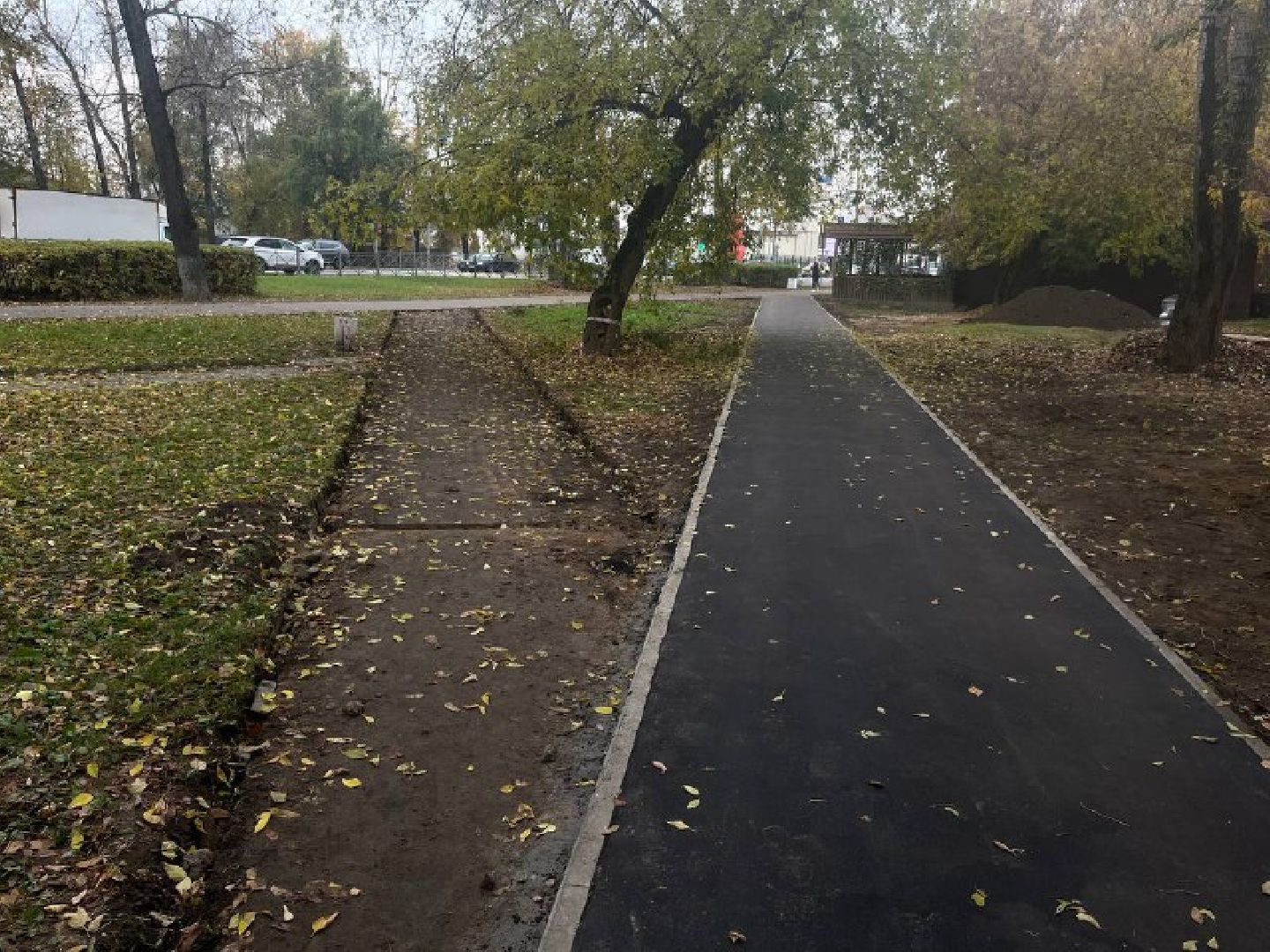 красногорск, дорожка, тропинка,  благоустройство,