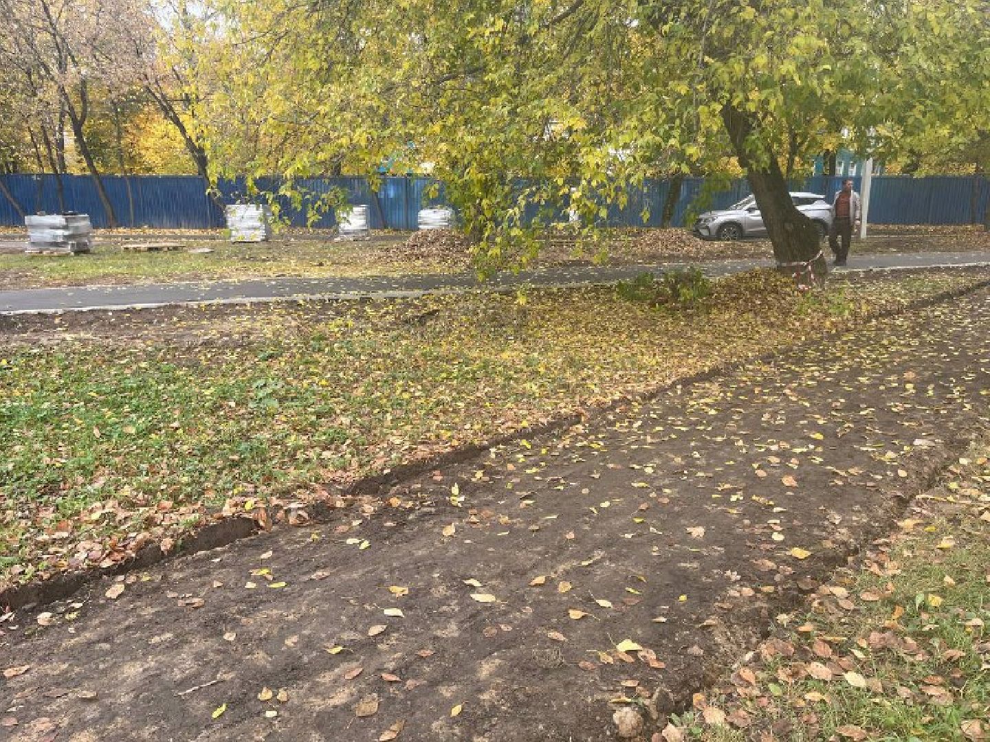 красногорск, дорожка, тропинка,  благоустройство,