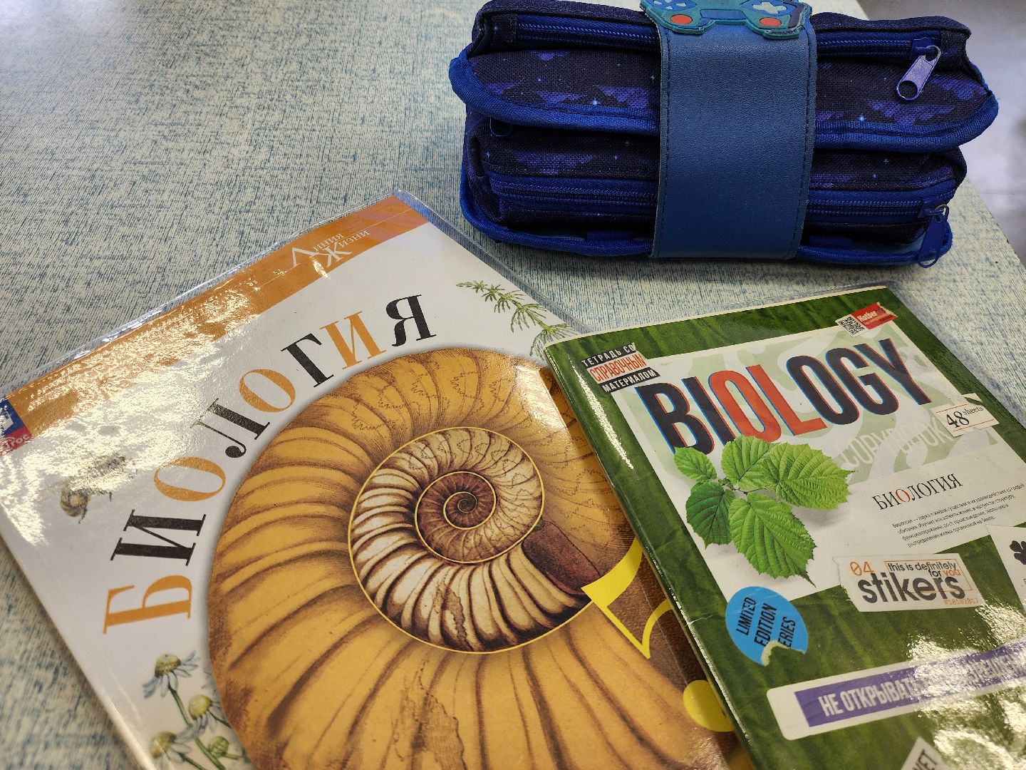 электросталь,  общество, школа, образование, учитель, герой, молодой специалист,