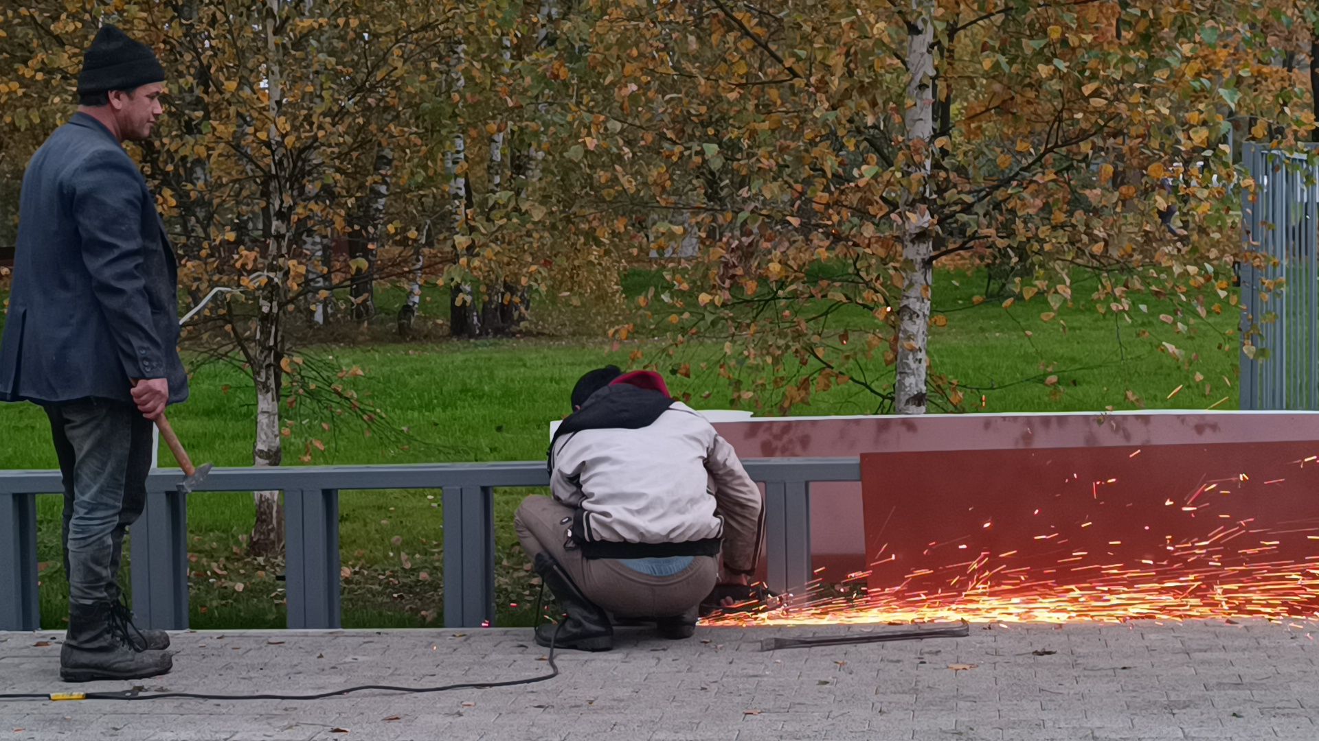 парк , реконструкция, лобня,