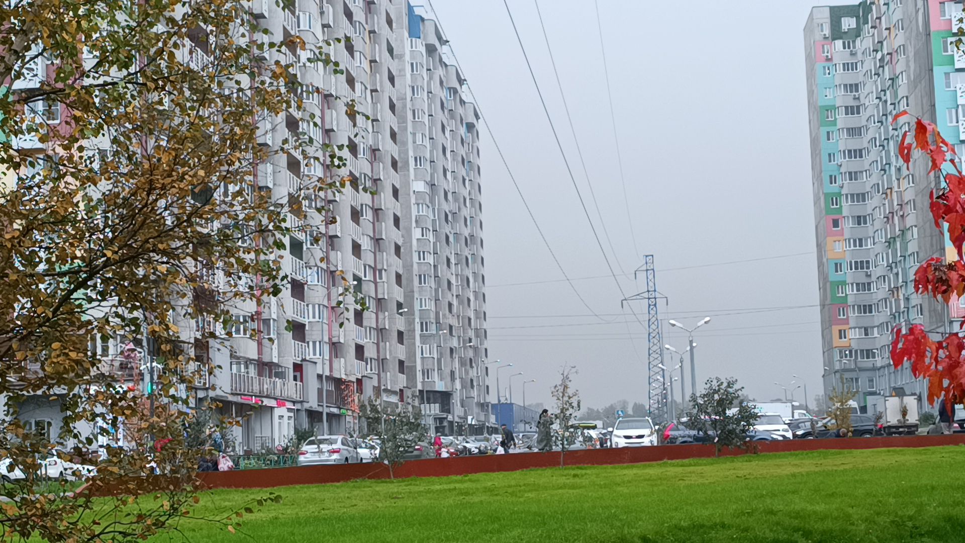 парк , реконструкция, лобня,