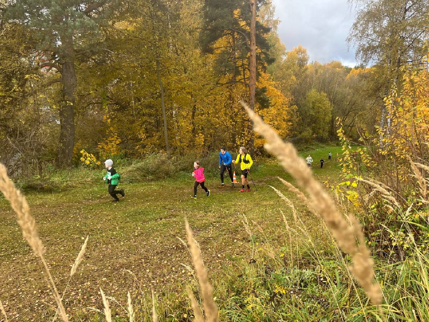 красногорск, забег, лига героев,