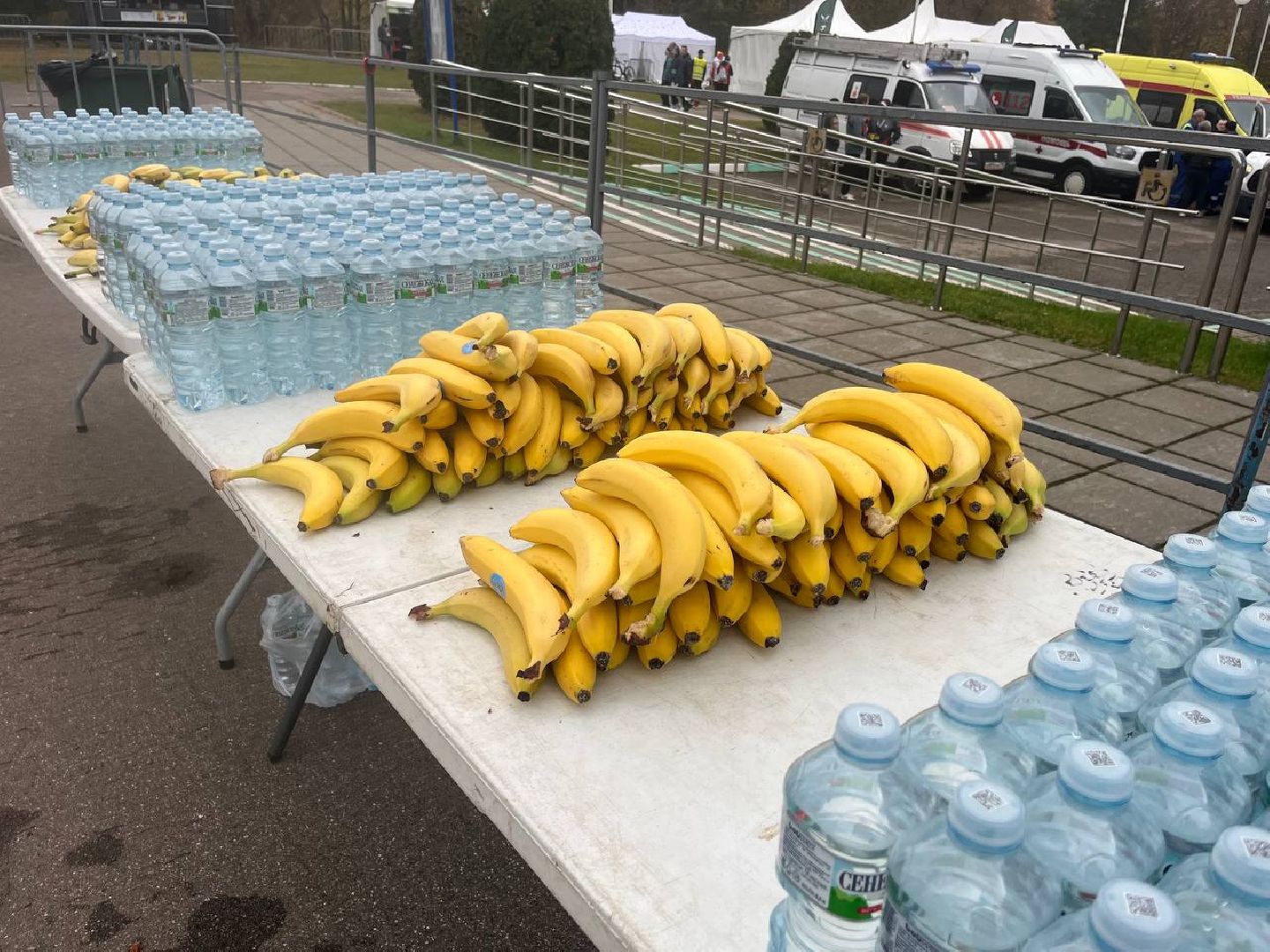 красногорск, забег, лига героев,