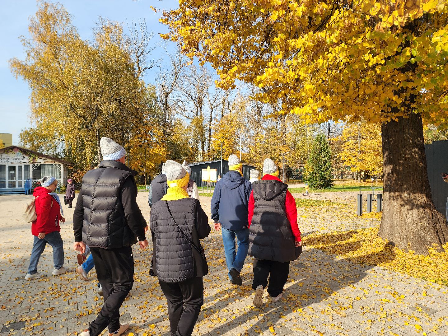 солнечногорск, ходьба, пенсионеры, спорт, долголетие ,