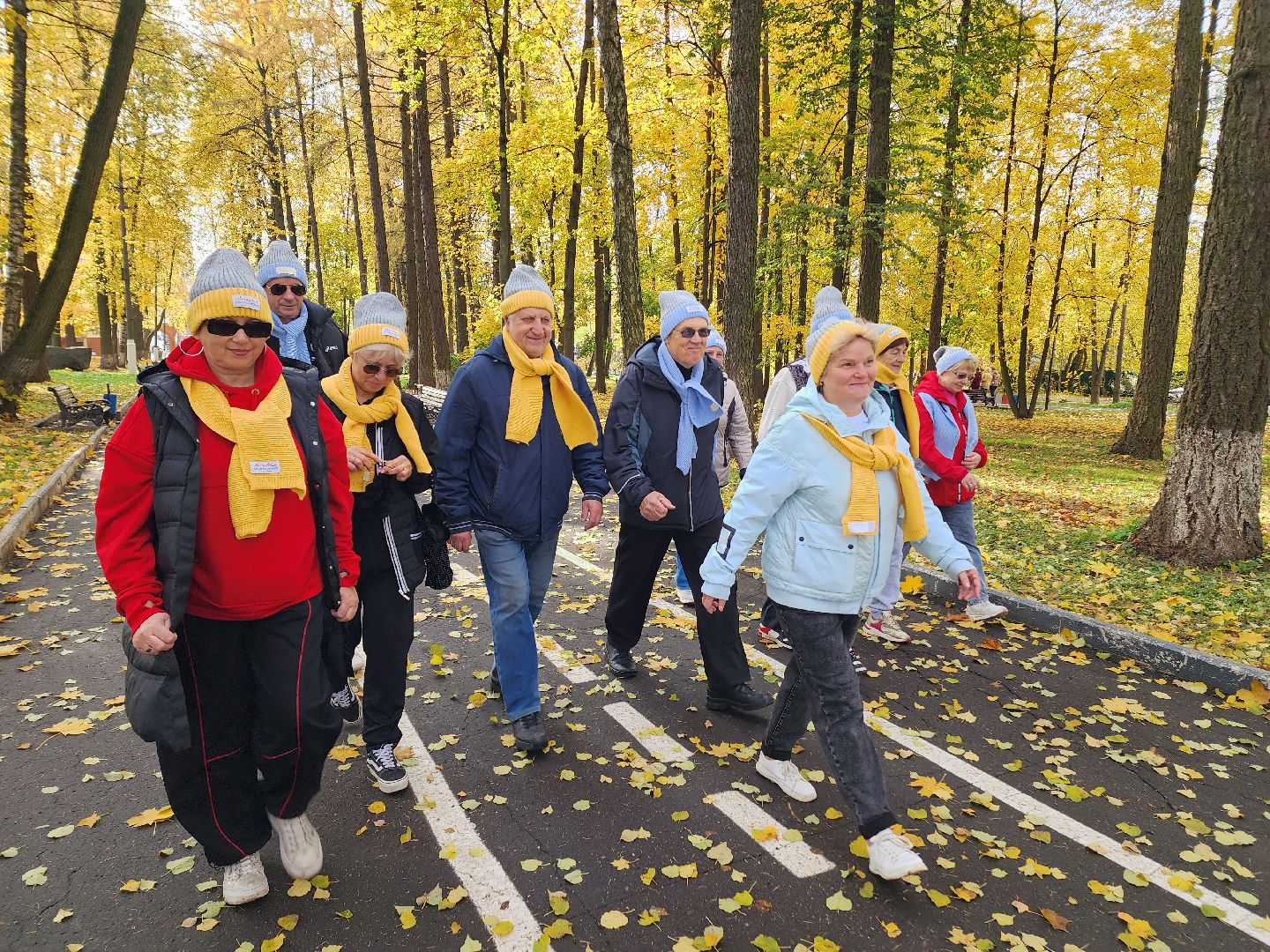 солнечногорск, ходьба, пенсионеры, спорт, долголетие ,