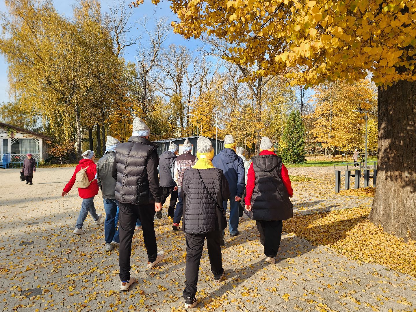 солнечногорск, ходьба, пенсионеры, спорт, долголетие ,