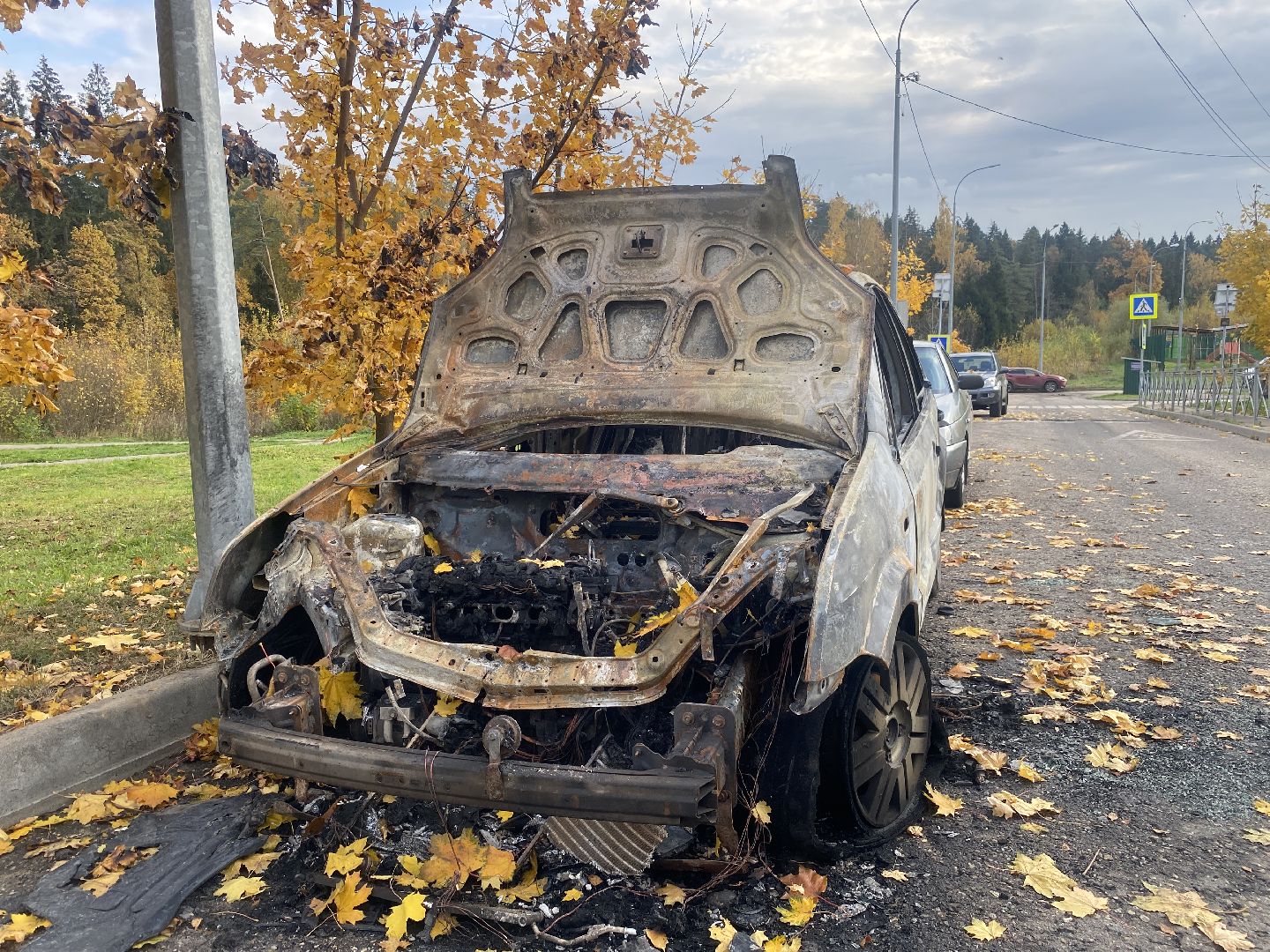 чп, пожар, сгорел автомобиль, власиха чп, форд фиеста сгорел,