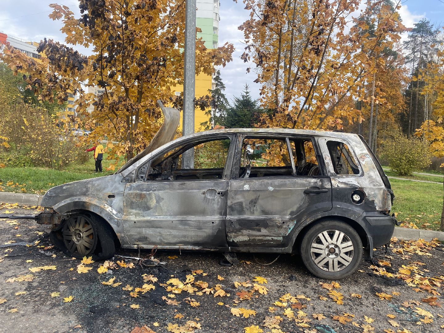 чп, пожар, сгорел автомобиль, власиха чп, форд фиеста сгорел,