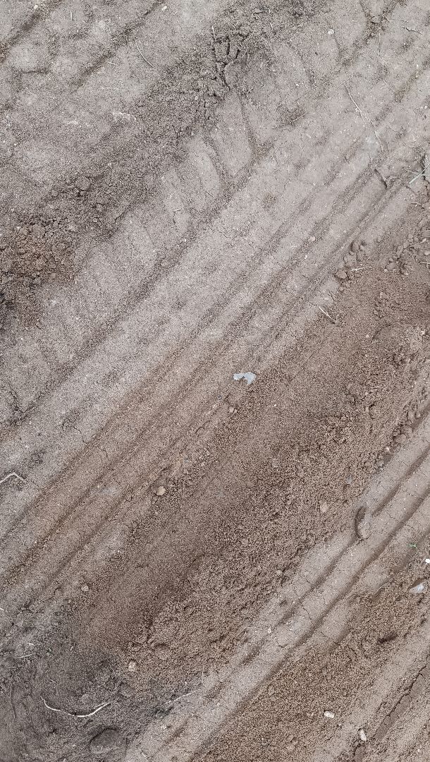 парк, реконструкция , памятник ,