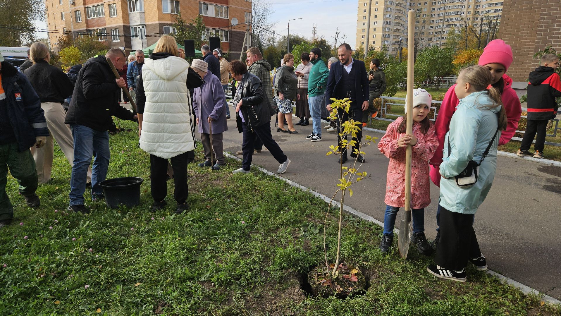 долгопрудный, благоустройство, сирень, акция посади дерево,