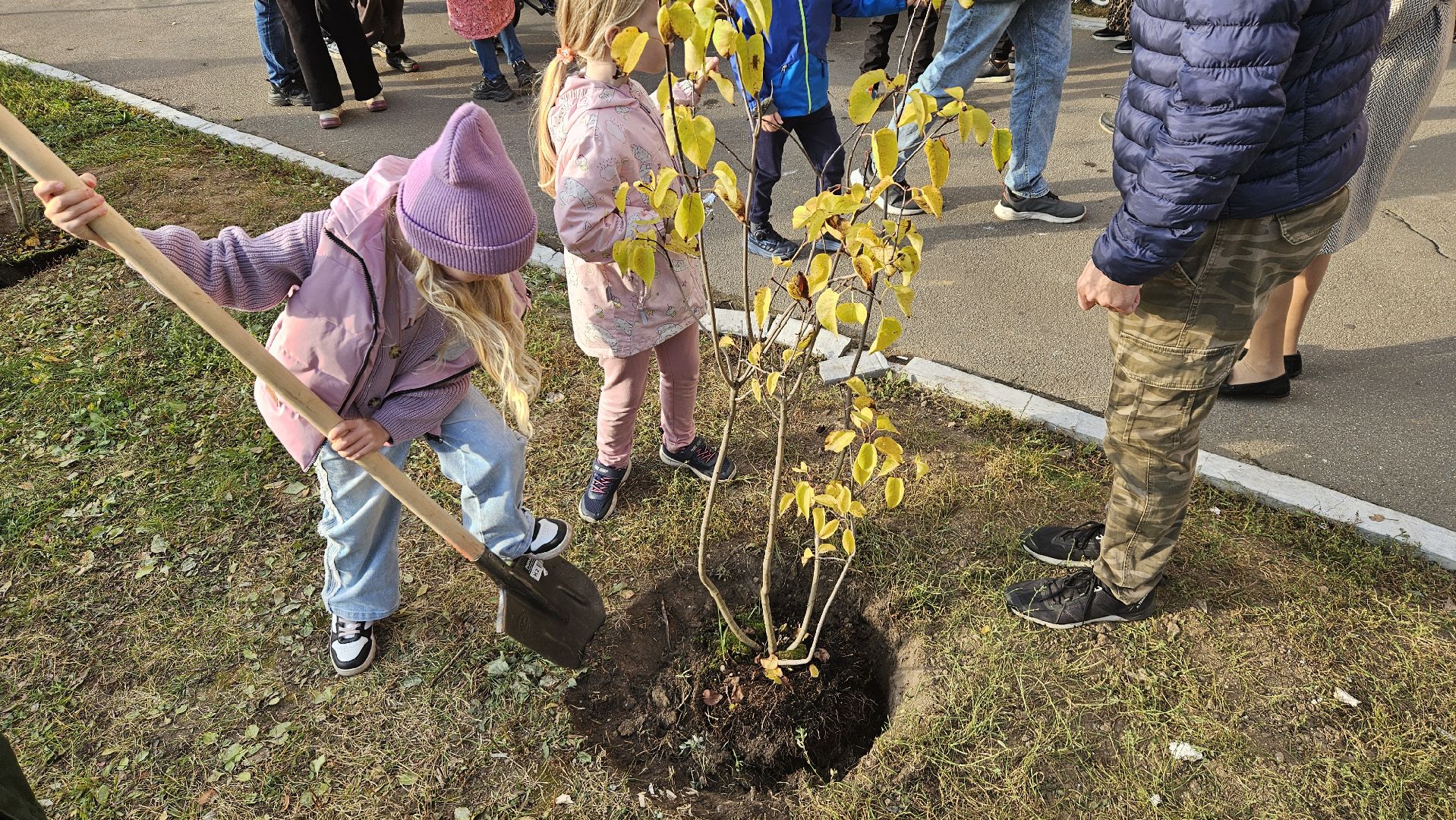 долгопрудный, благоустройство, сирень, акция посади дерево,