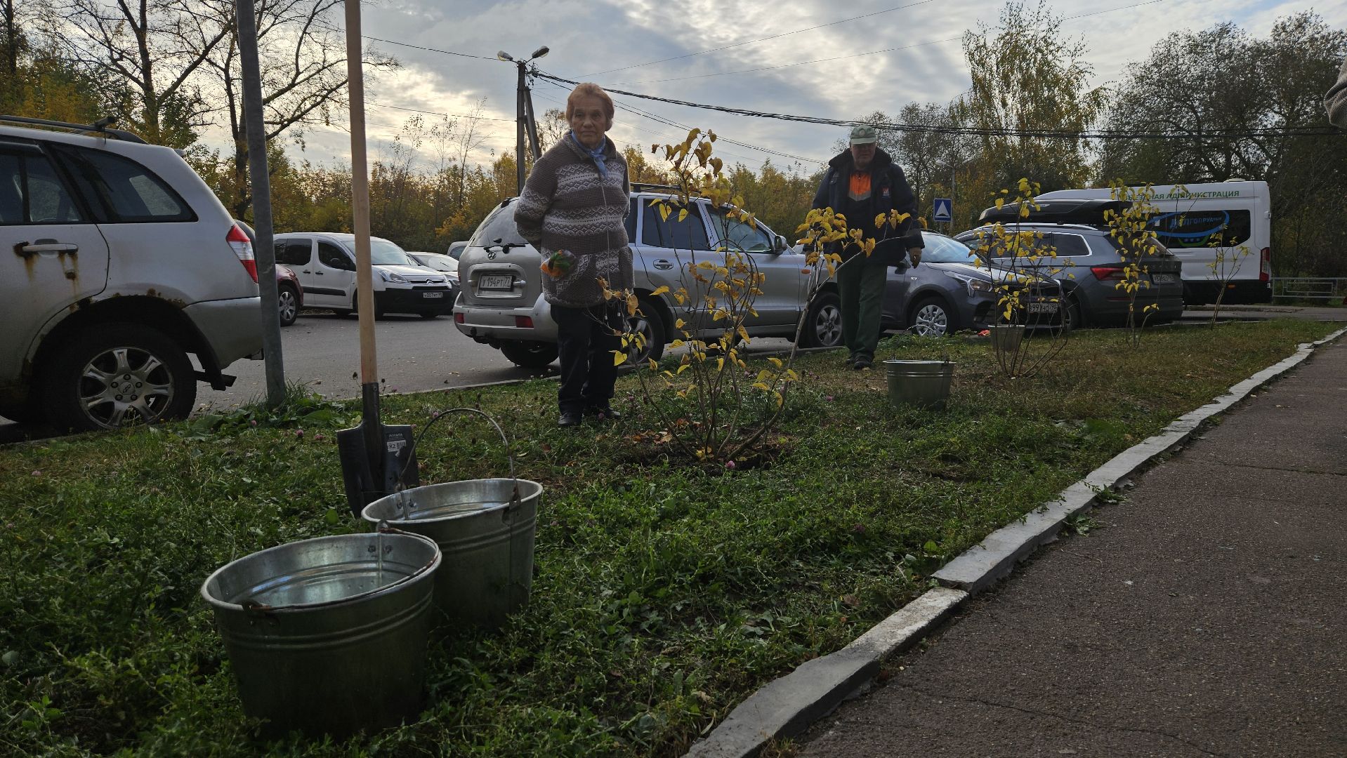 долгопрудный, благоустройство, сирень, акция посади дерево,