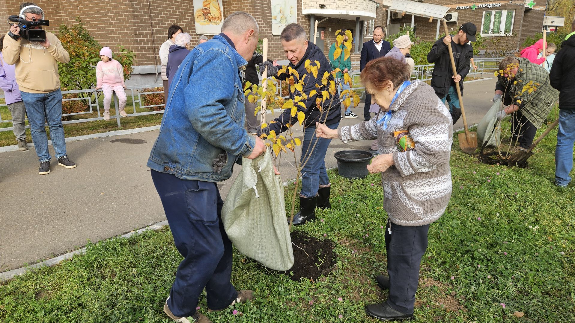 долгопрудный, благоустройство, сирень, акция посади дерево,
