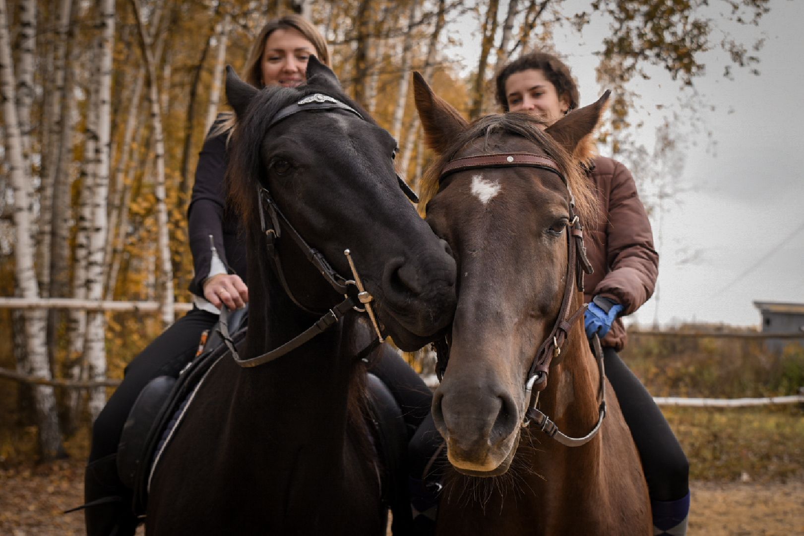 база отдыха, конный клуб, отдых под бронницами, отдых на свежем воздухе, рыбалка, джиппинг,