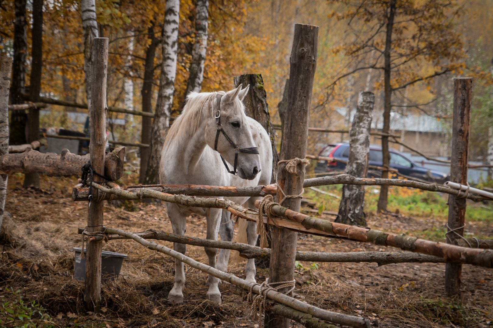 база отдыха, конный клуб, отдых под бронницами, отдых на свежем воздухе, рыбалка, джиппинг,
