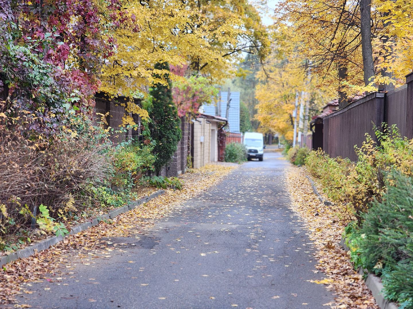 королёв, выездная администрация в королеве, дом культуры юбилейный, диалог с властью,