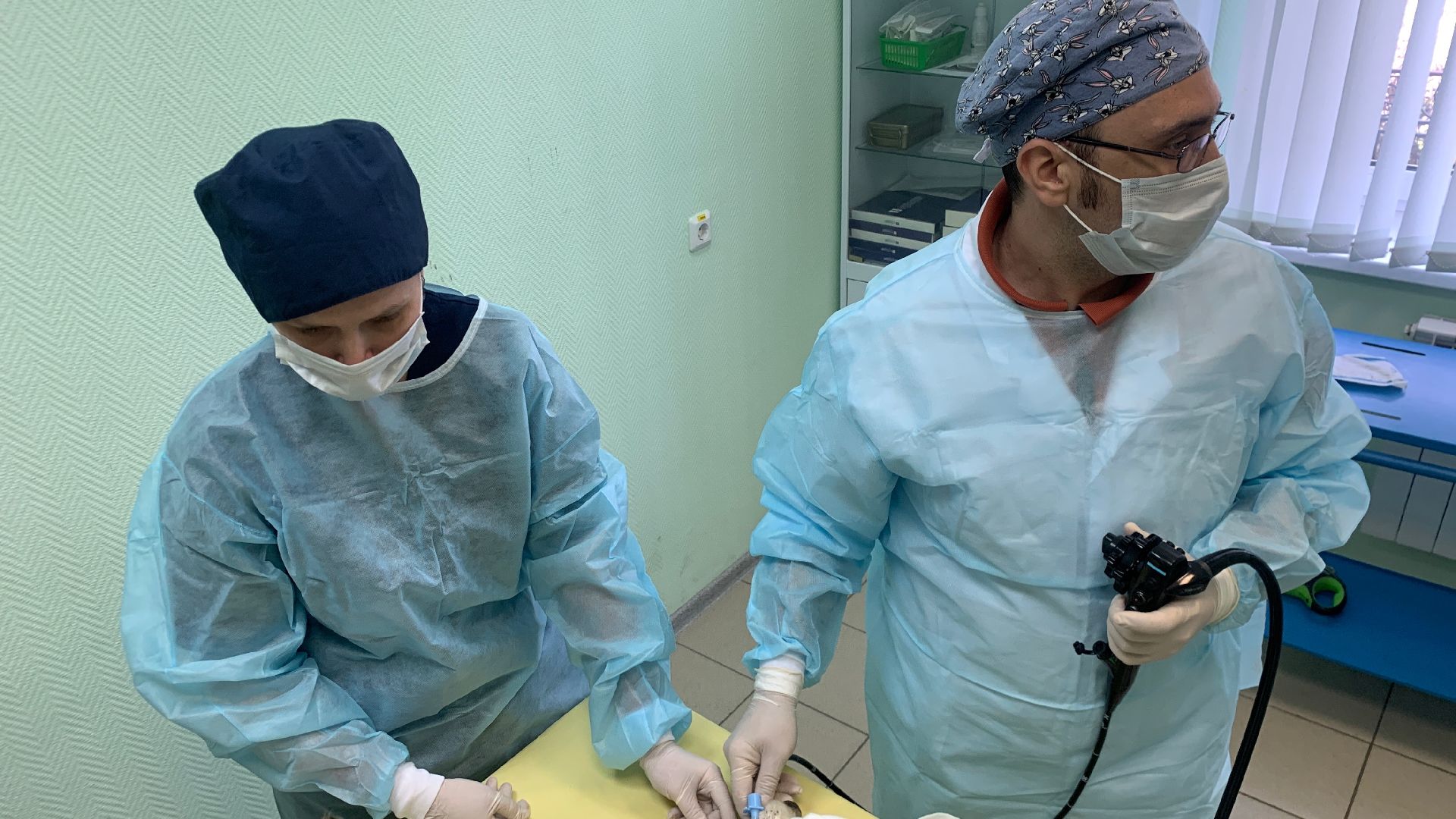 Ступино, медицина, ветеринарная станция