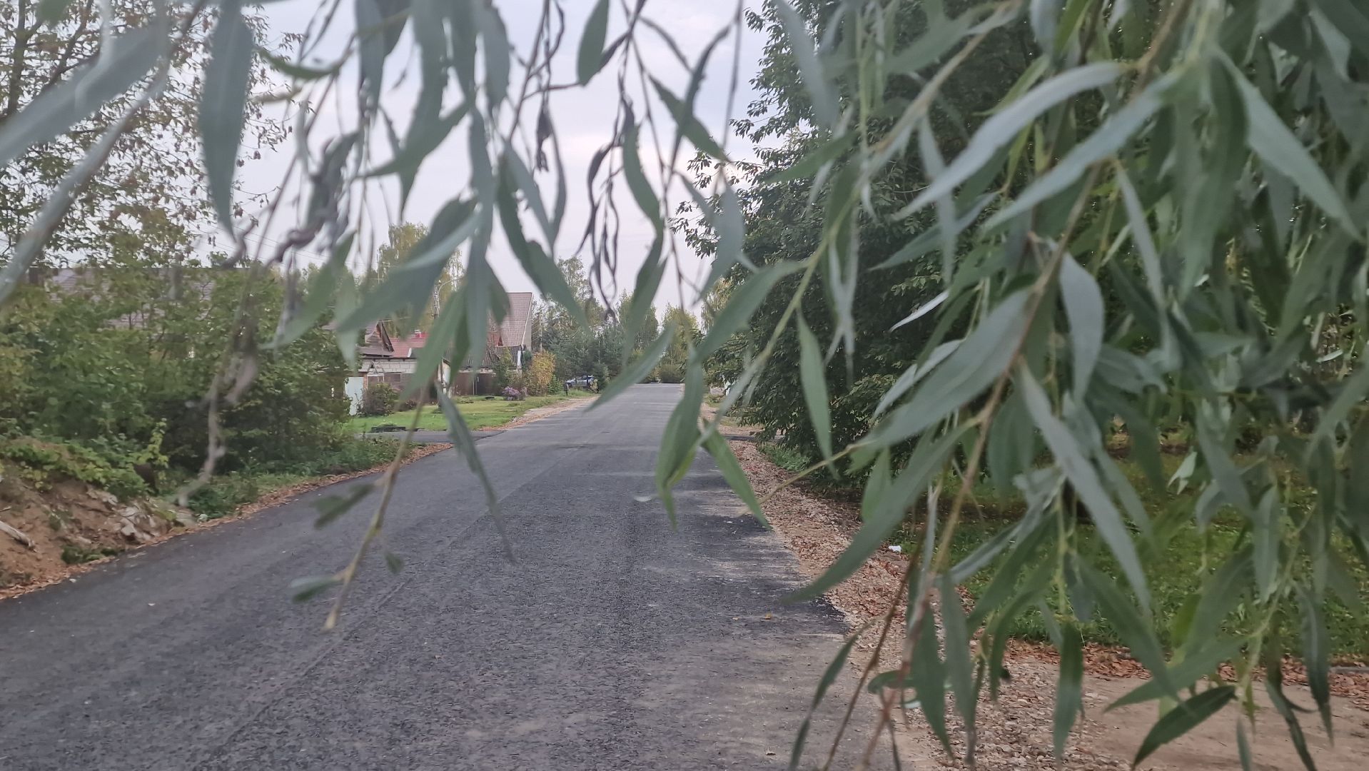 Дороги , ДорогиДубны, Асфальтвчастномсекторе, Дубна,