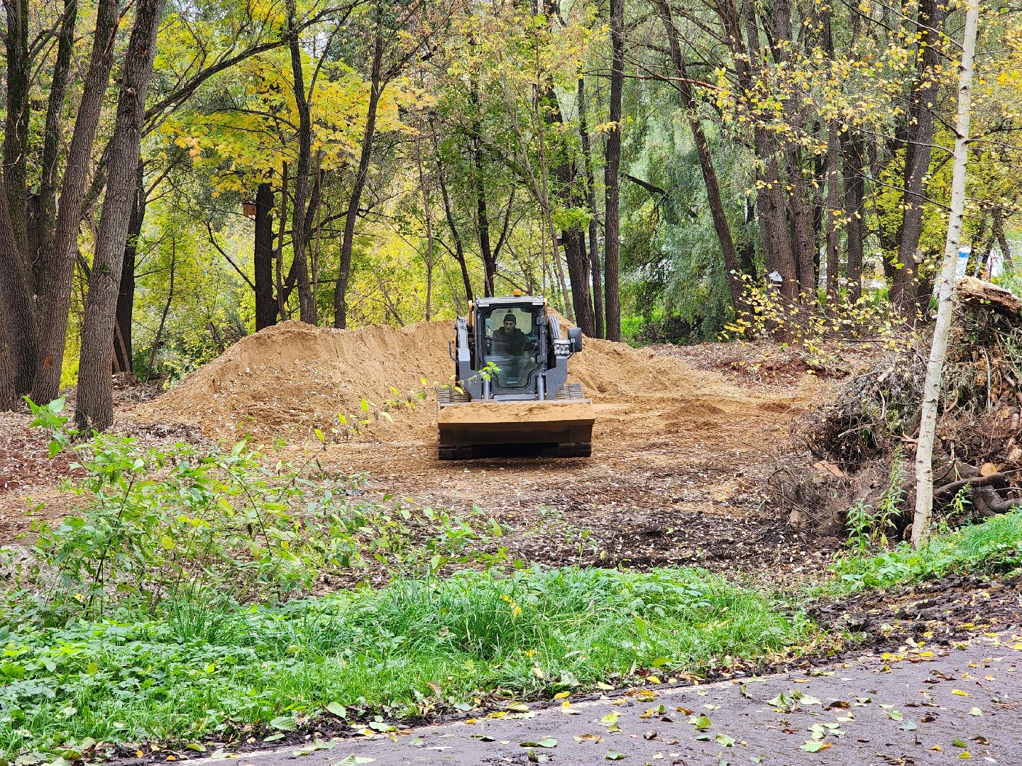 раменское, благоустройство, обустройство зоны отдыха у воды на берегу Борисоглебского озера ,