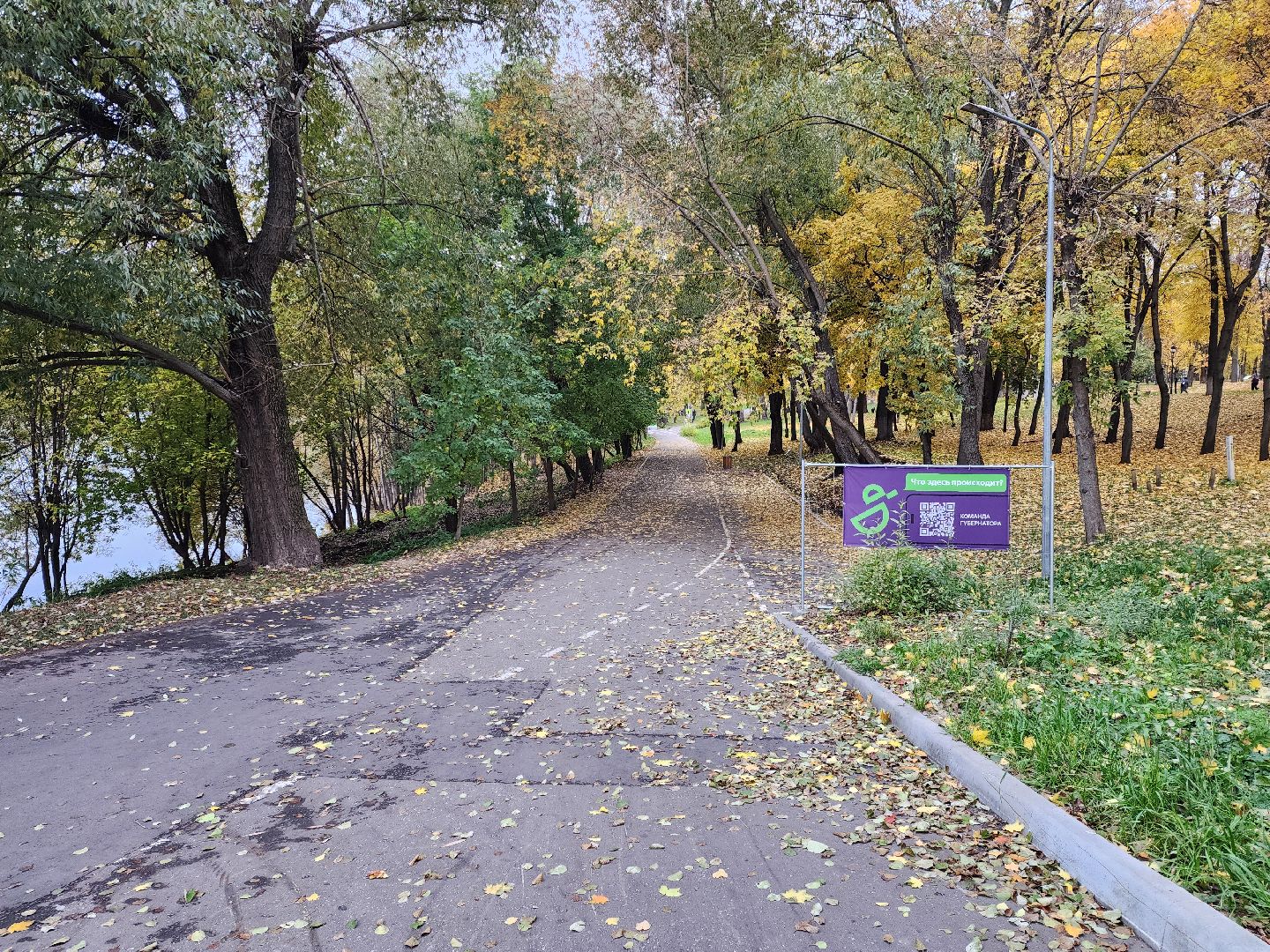 раменское, благоустройство, обустройство зоны отдыха у воды на берегу Борисоглебского озера ,