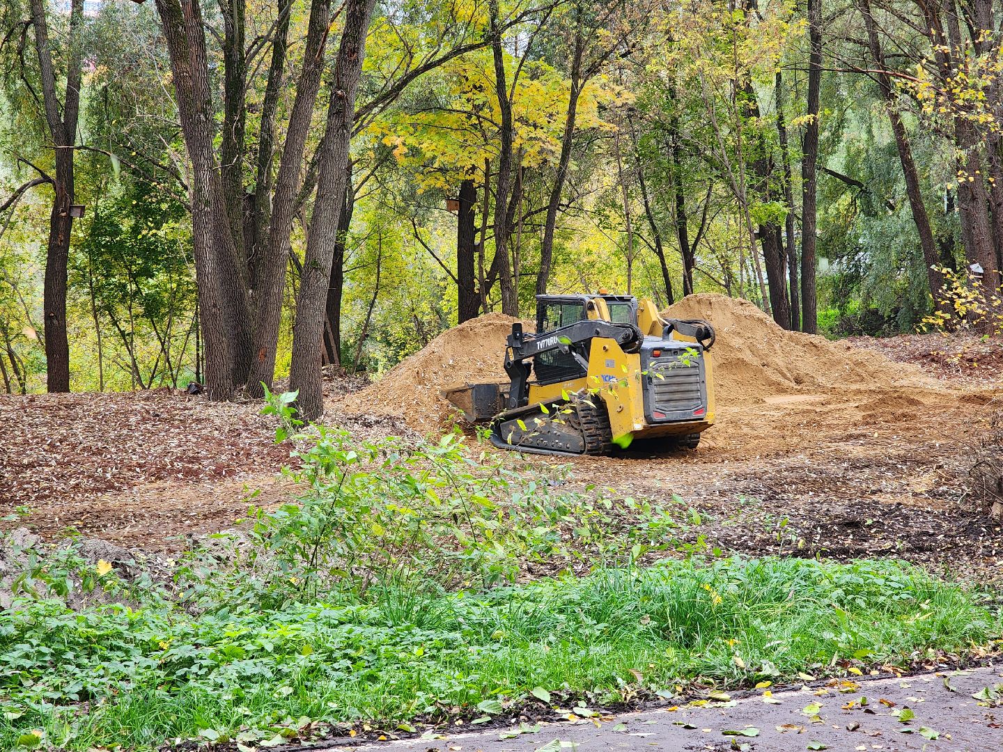 раменское, благоустройство, обустройство зоны отдыха у воды на берегу Борисоглебского озера ,