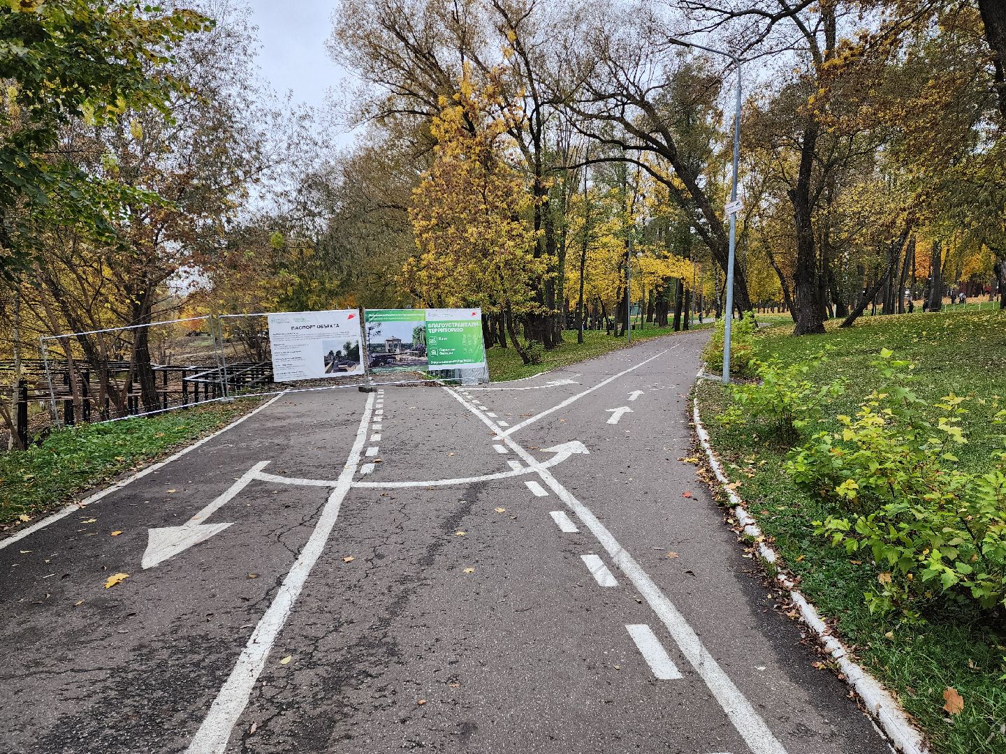 раменское, благоустройство, обустройство зоны отдыха у воды на берегу Борисоглебского озера ,