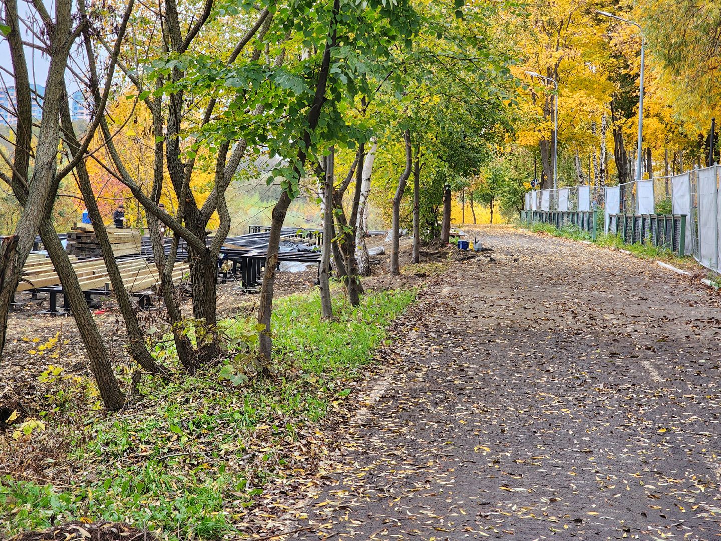 раменское, благоустройство, обустройство зоны отдыха у воды на берегу Борисоглебского озера ,