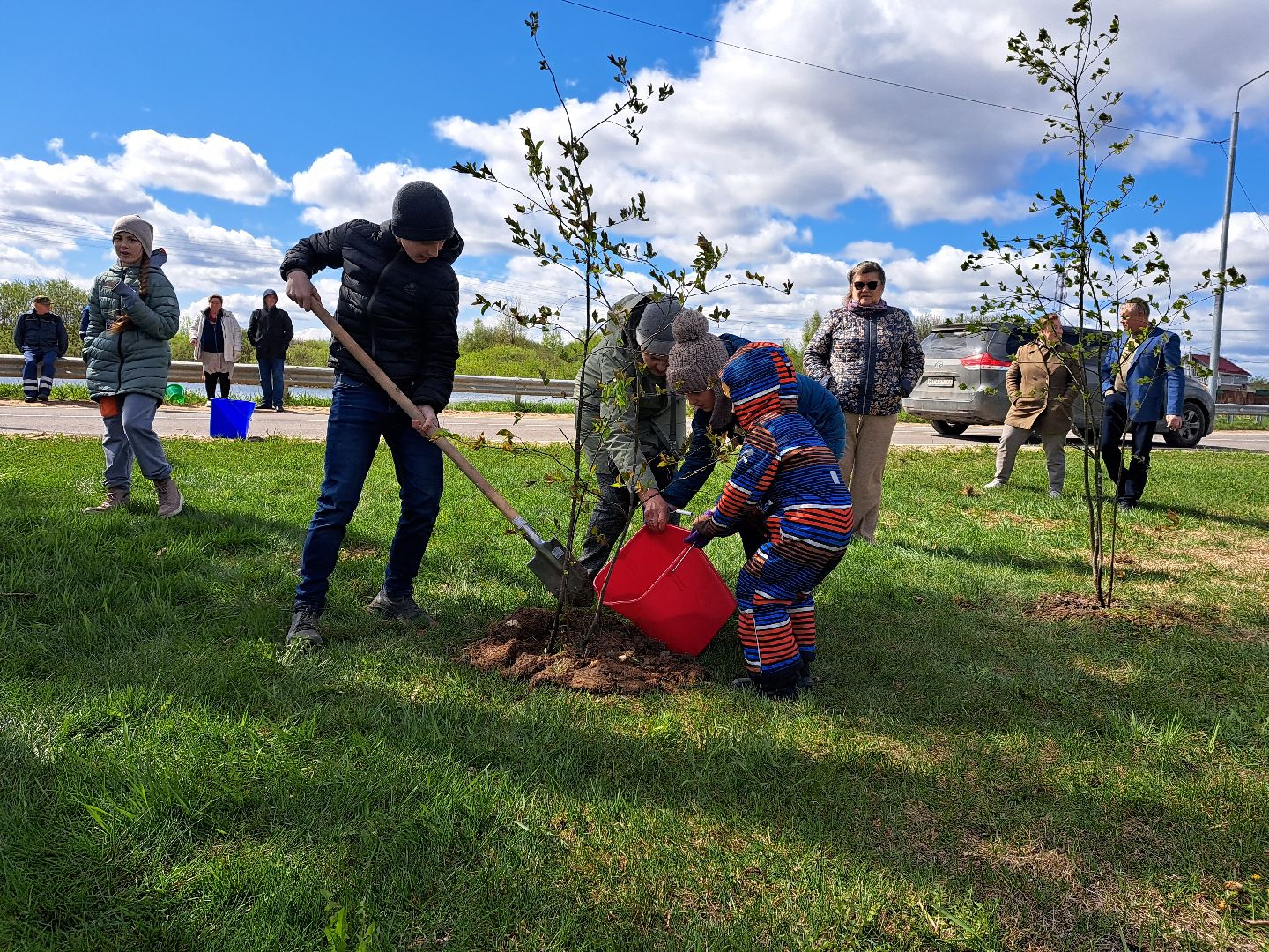 Рузский городской округ, Петрищево, Зоя, черёмуха, акция