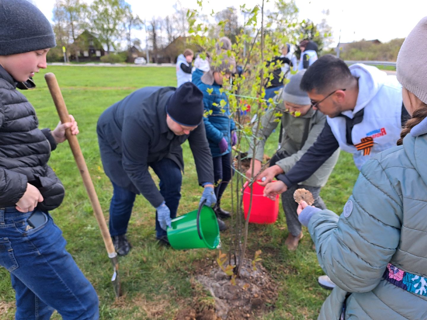 Рузский городской округ, Петрищево, Зоя, черёмуха, акция