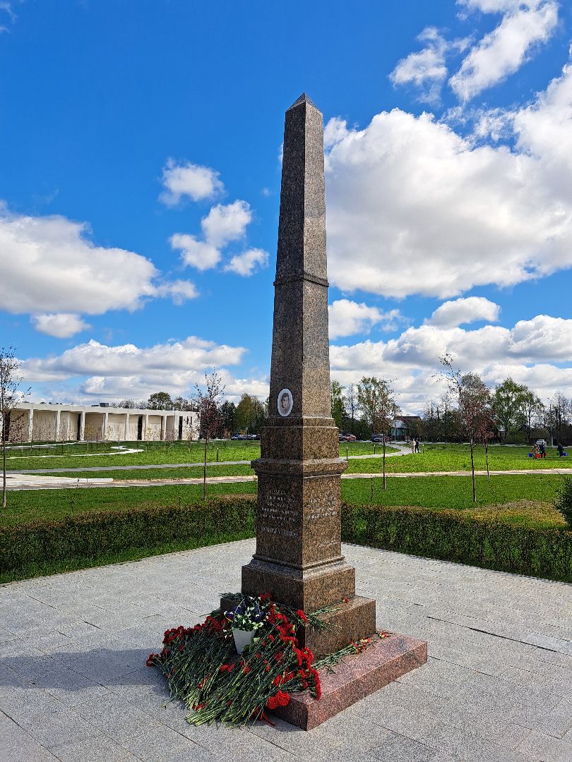 Рузский городской округ, Петрищево, Зоя, черёмуха, акция