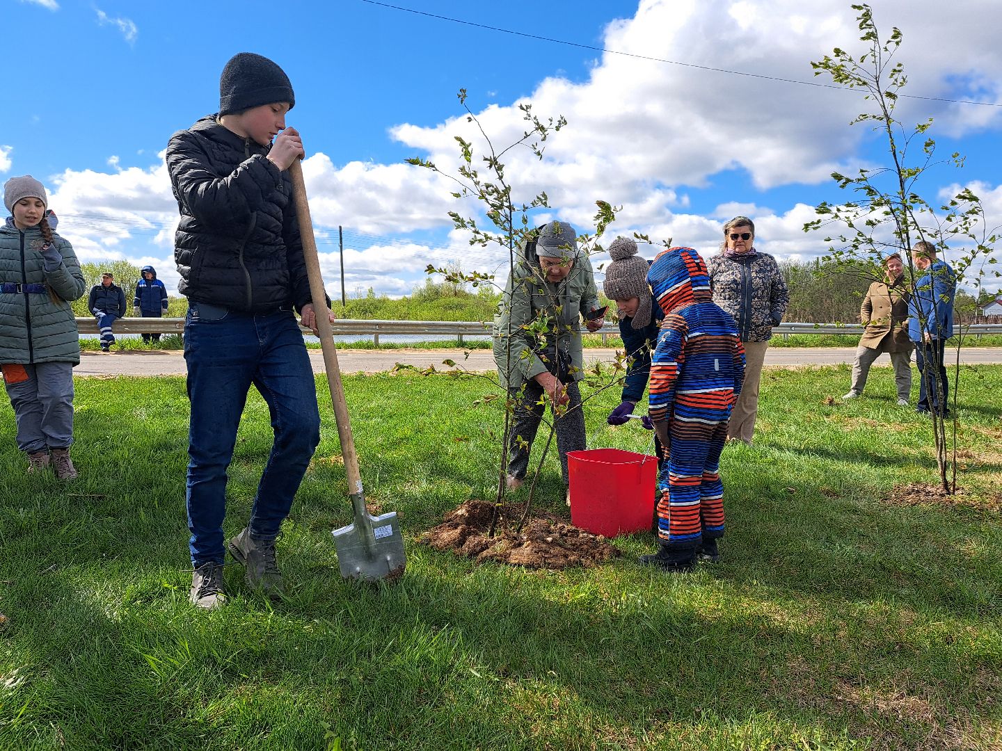 Рузский городской округ, Петрищево, Зоя, черёмуха, акция