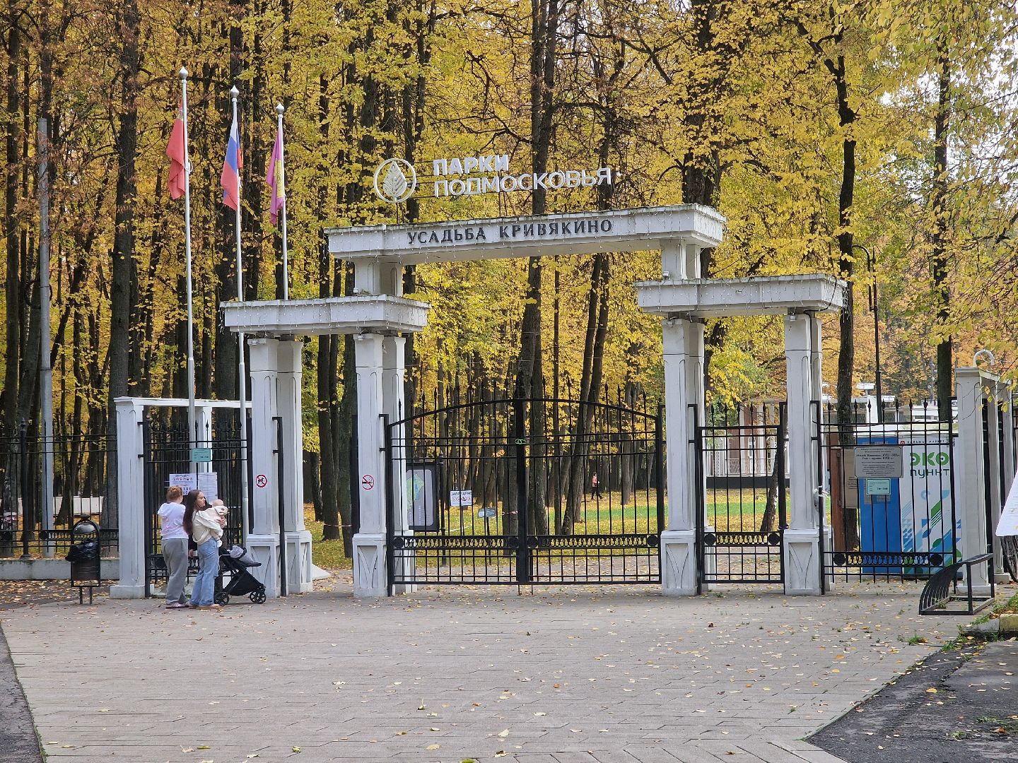 воскресенск, кривякино,