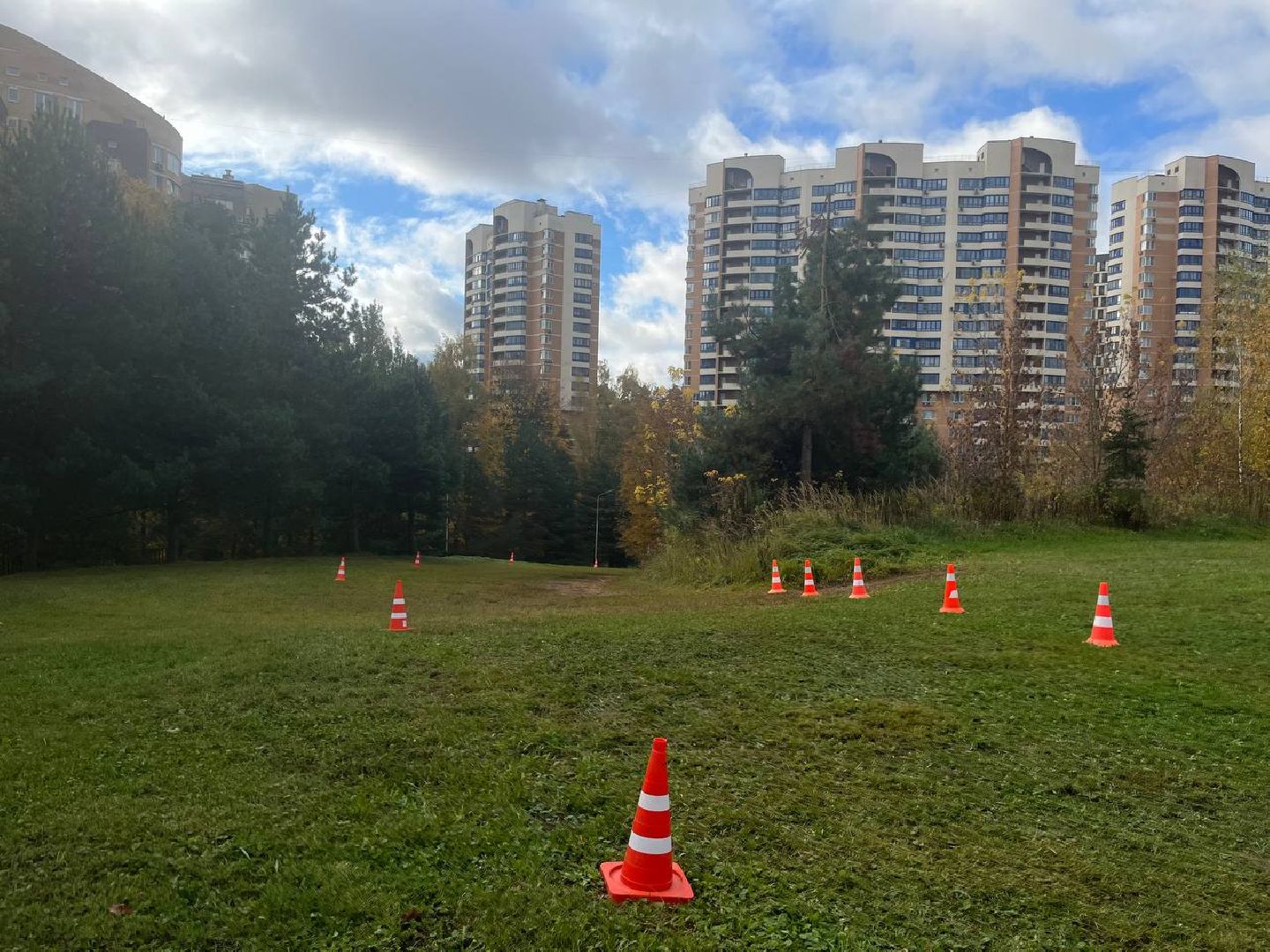 красногорск, забег, лига героев, спортсменка, фрирайдер,