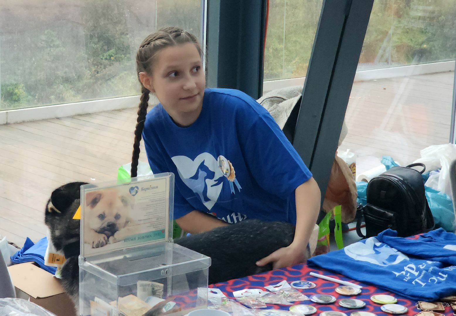 наро-фоминск, наро-фоминский городской округ, приют для животных, благотворительная акция, возьми друга из приюта,