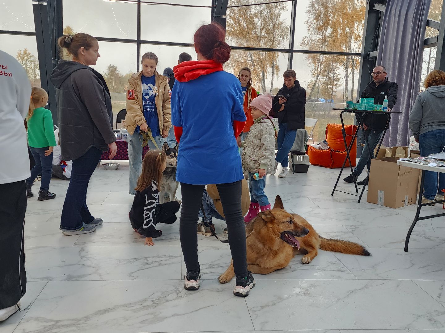наро-фоминск, наро-фоминский городской округ, приют для животных, благотворительная акция, возьми друга из приюта,