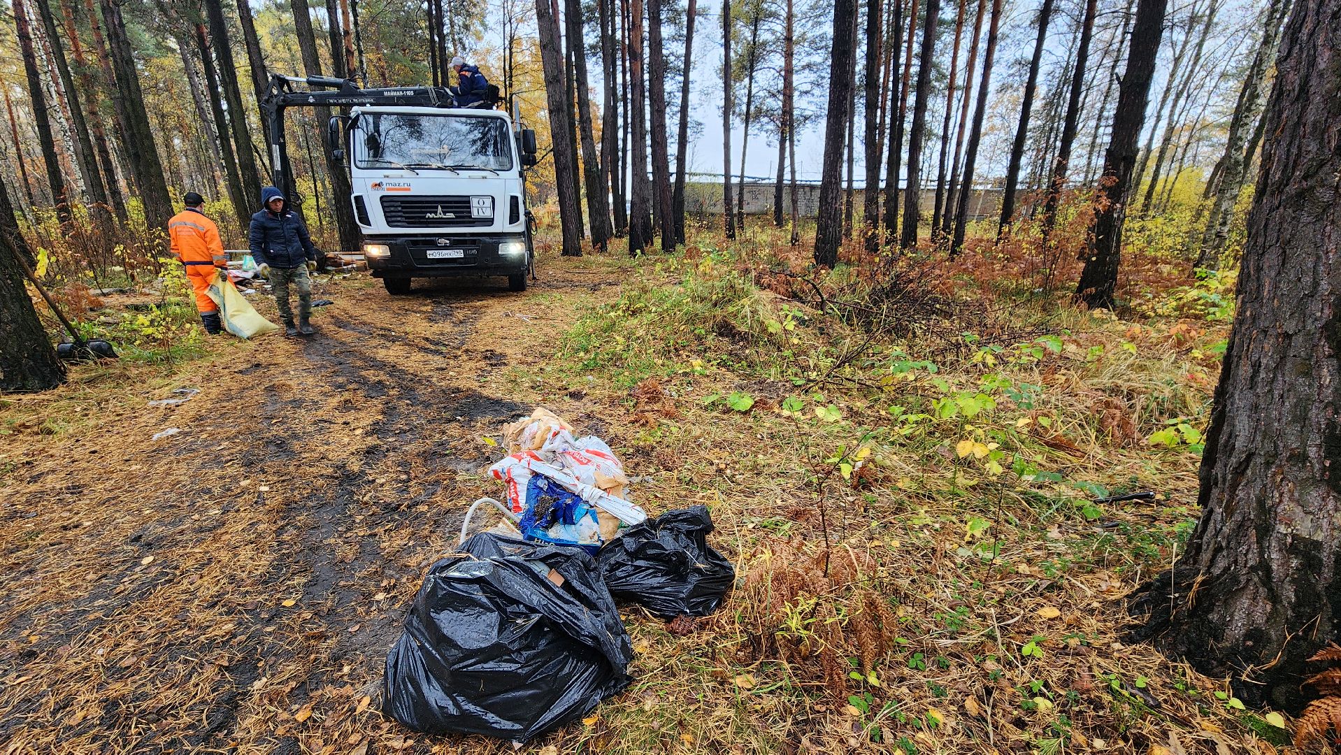 незаконная свалка, протвино, комбинат благоустройства,