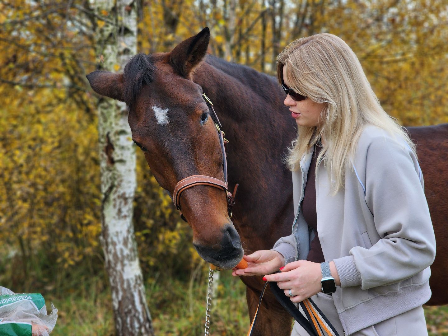 сергиев посад, из первых лап, волонтеры,передача корма, корм для кошек, корм для собак,лекарства для животных, кошкин дом, филя, приют для бездомных животных,