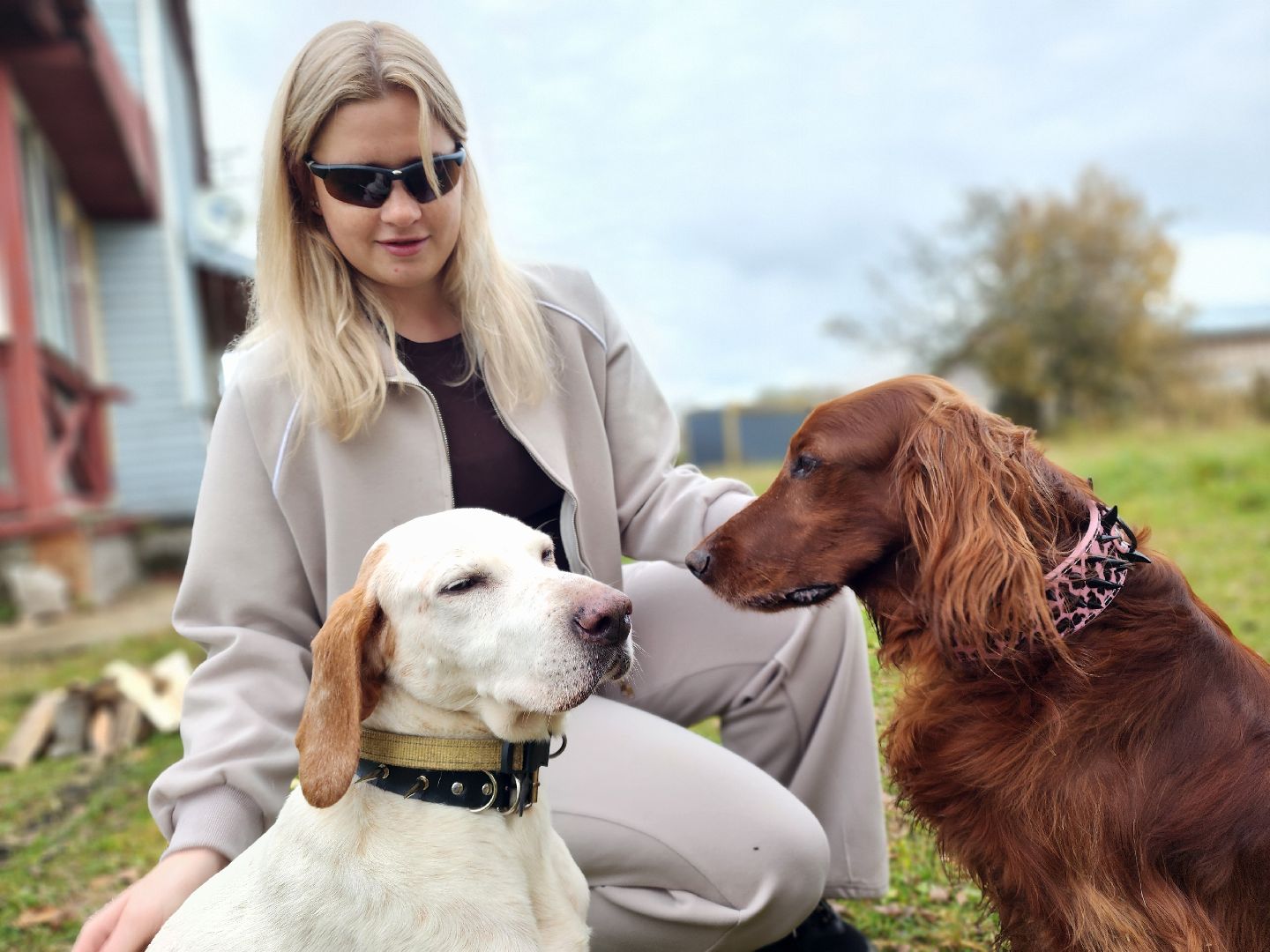 сергиев посад, из первых лап, волонтеры,передача корма, корм для кошек, корм для собак,лекарства для животных, кошкин дом, филя, приют для бездомных животных,