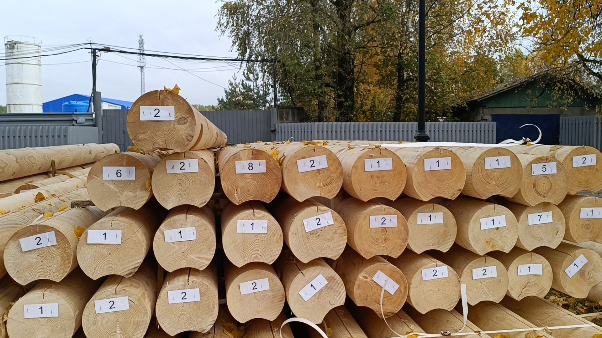 крещение, лобня, парк,