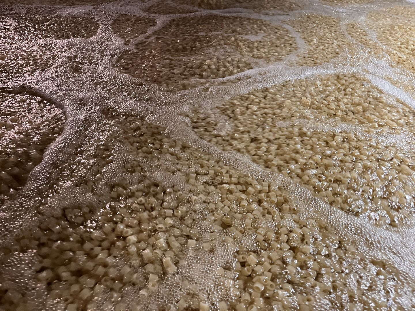 шатура, шатура экономика, шатура сельское хозяйство, форель,