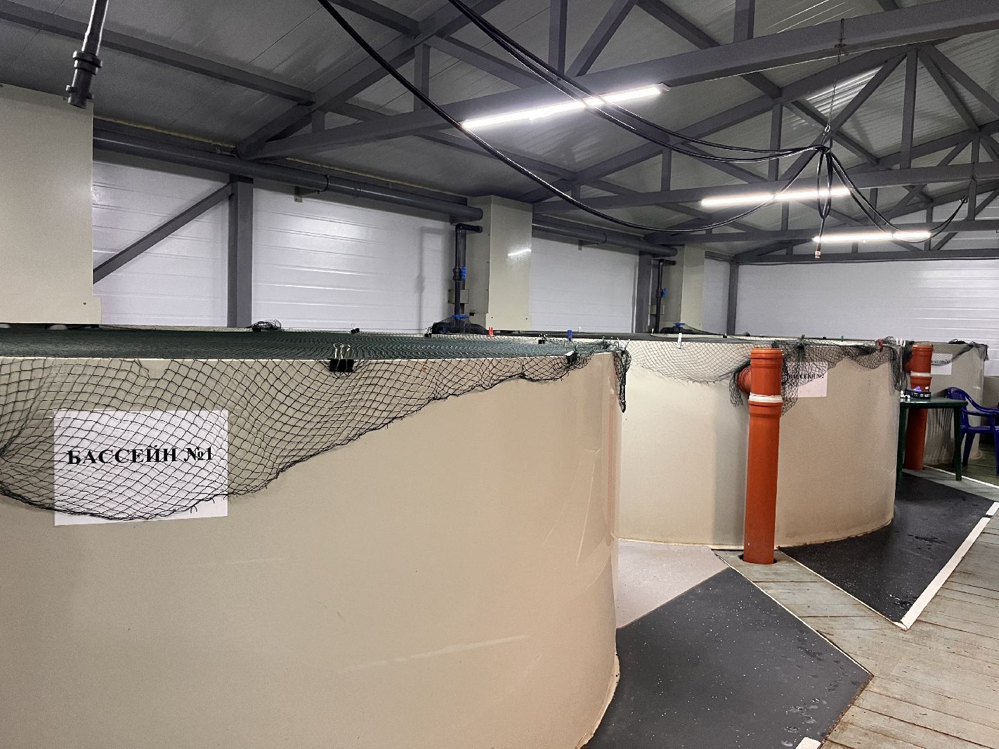 шатура, шатура экономика, шатура сельское хозяйство, форель,