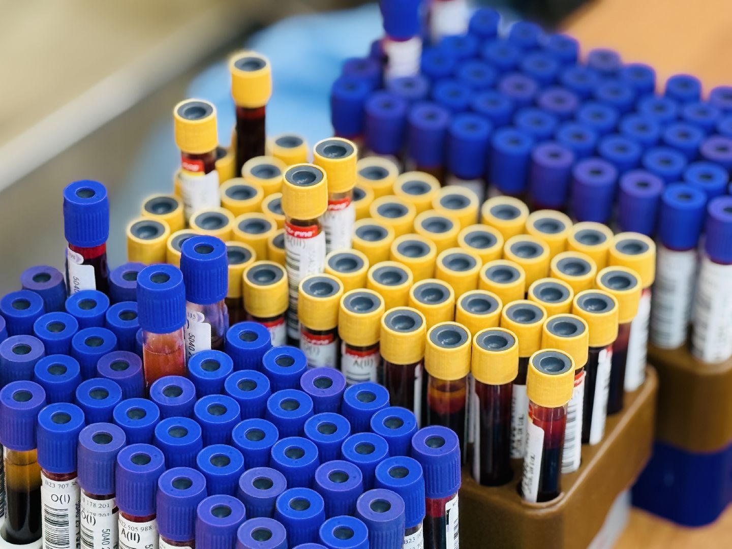 молодежный день донора, донор крови, раменское, раменский молодежный центр,