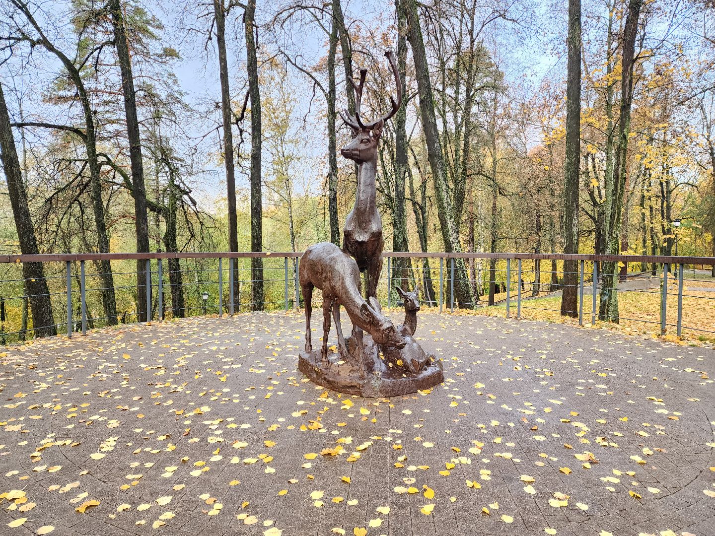 раменское, туризм, раменский городской парк ,