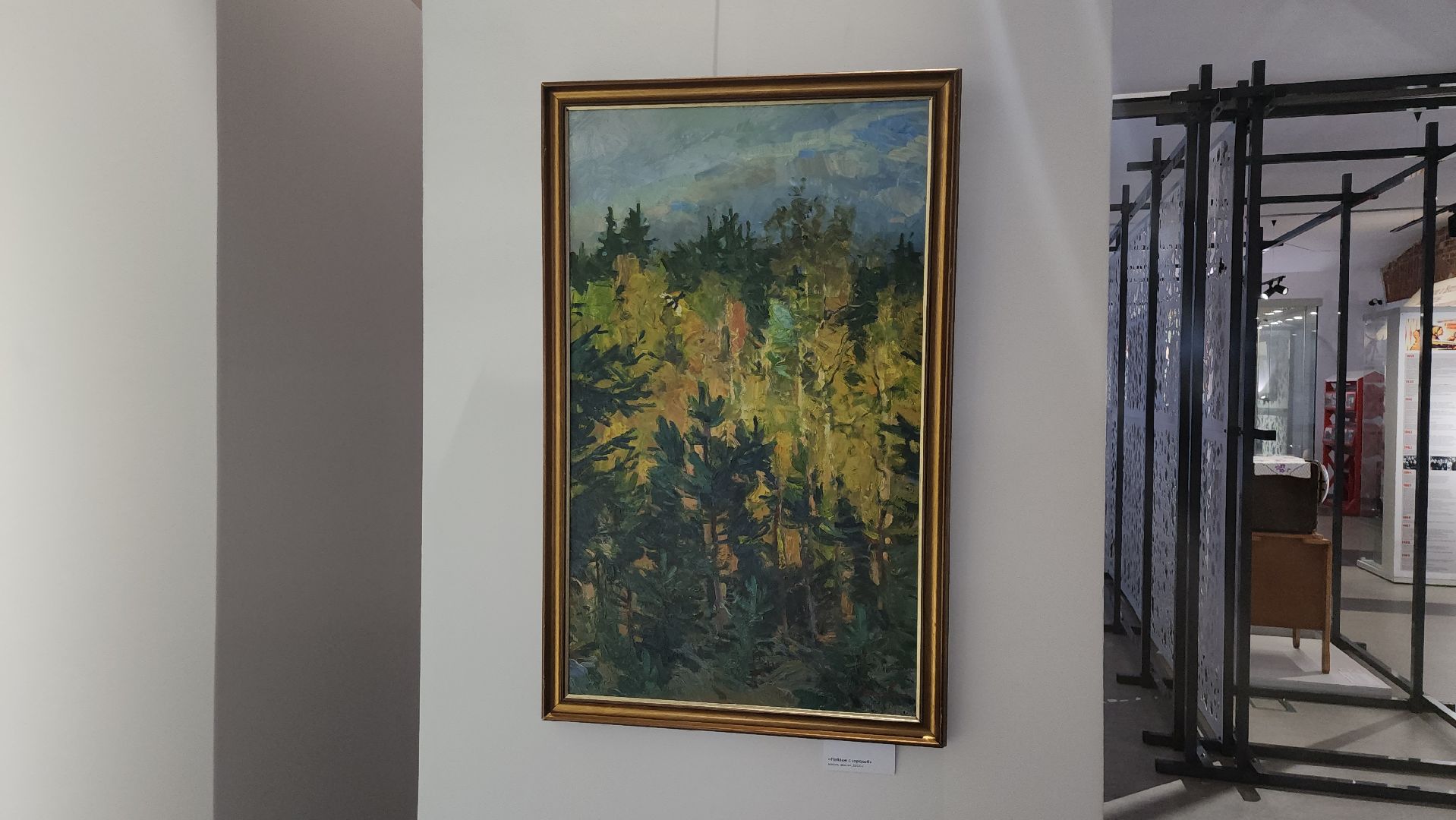 щёлково, выставка картин,  историко-художественный музей,