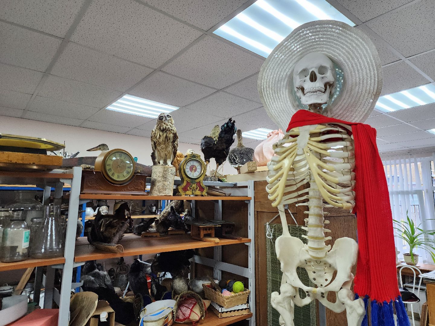 электросталь,  общество, конкурс, образование, художественная школа, педагог, герой,